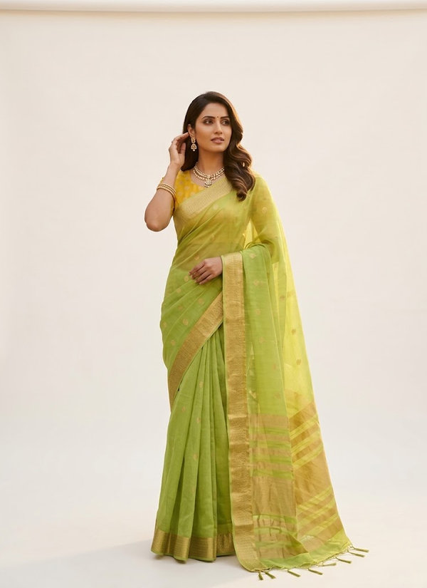 Parrot Green Chiffon Saree with Banarasi Border