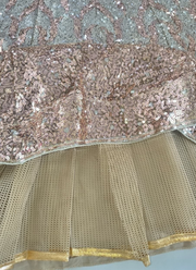 Designer Butterfly Net Lehenga – Dual Sequins Work with Blouse & Dupatta 10