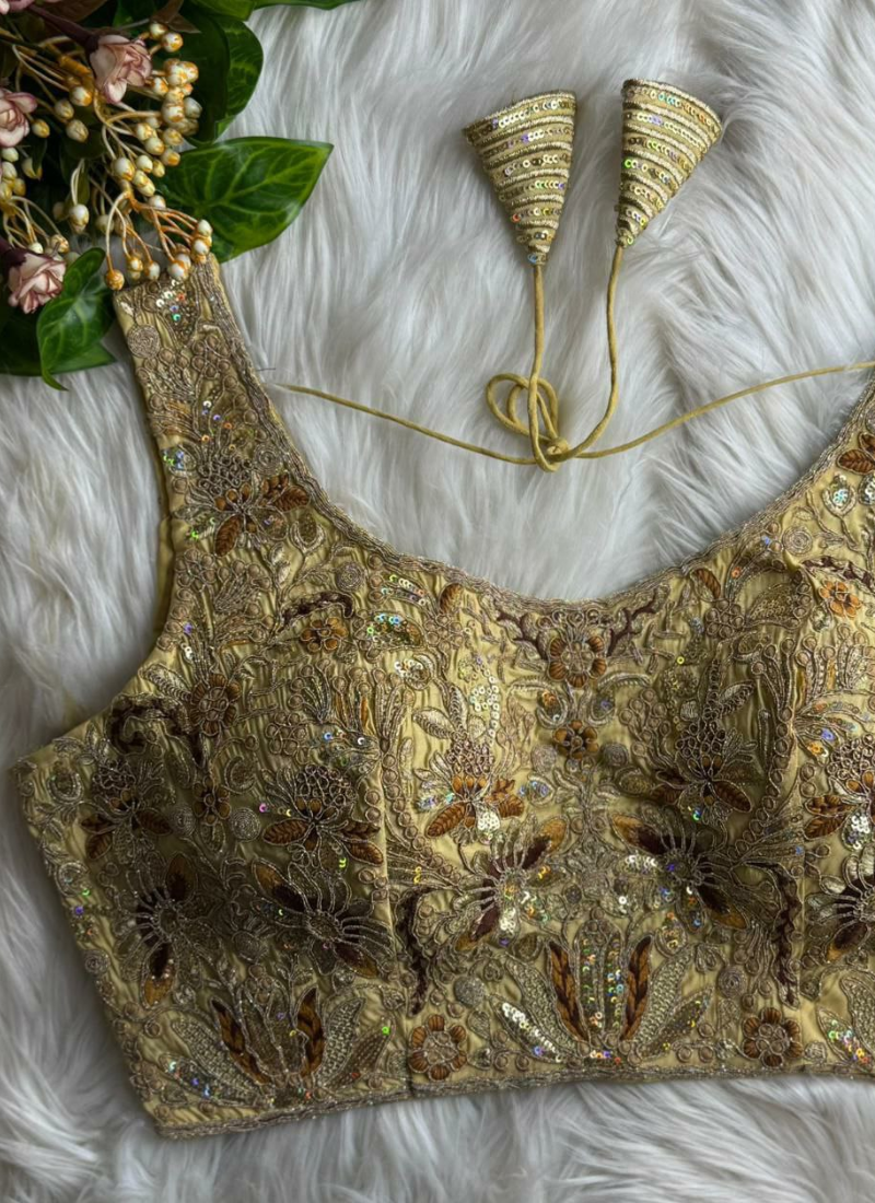 Heavy velvet sleeveless blouse with Pali cotton lining, premium padding, and backless dori design.