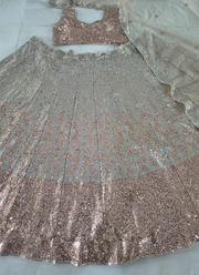 Designer Butterfly Net Lehenga – Dual Sequins Work with Blouse & Dupatta 11