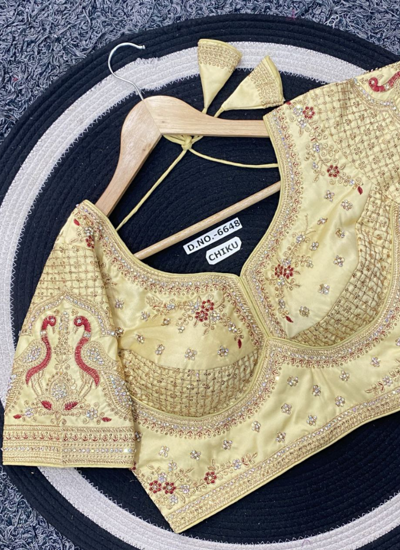 Partywear Women’s Blouse with Premium Padding & Back‑Open Design