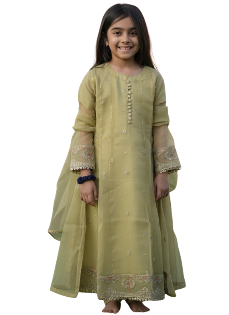 Twirl-Ready Kids Anarkali Gown in Pesta Green – Chiffon
