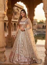Designer Butterfly Net Lehenga – Dual Sequins Work with Blouse & Dupatta 1