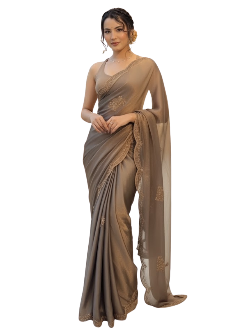 Grey Two-Tone Chiffon Tissue Saree – Crystal Work Panel with Running Blouse