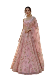 Taby Silk Lehenga Choli with Mirror & Sequin Work 3