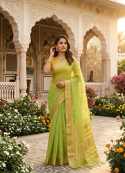 Parrot Green Chiffon Saree with Banarasi Border 1