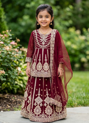 Baby Girl’s Net Lehenga – Embroidery Work 1