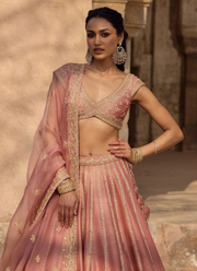 Fancy Fabric Lehenga Choli with Zari & Sequins Embroidery + Net Dupatta 2