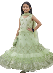 Paste Organza Kids Lehenga – Ethnic Elegance 1