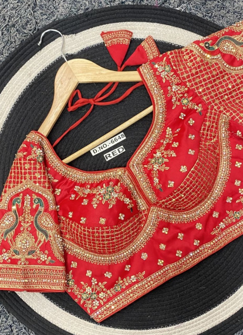 Partywear Women’s Blouse with Premium Padding & Back‑Open Design