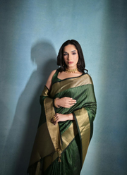 Banarasi Silk Saree with Zari Weaving, Border & Pallu + Blouse Piece 15