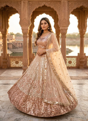 Designer Butterfly Net Lehenga – Dual Sequins Work with Blouse & Dupatta 2