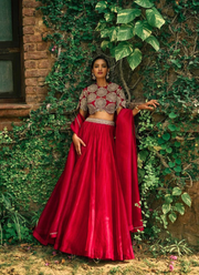 Roman Silk Lehenga Choli with Sequin Dupatta 3