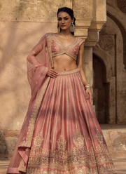 Fancy Fabric Lehenga Choli with Zari & Sequins Embroidery + Net Dupatta 3