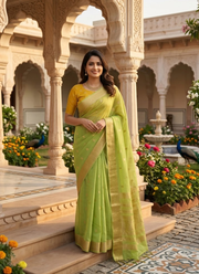 Parrot Green Chiffon Saree with Banarasi Border 2
