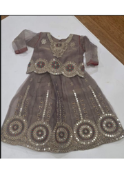 Baby Girls Embroidered Tissue Lehenga Set | Indian Wedding Wear for Girls 3