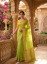 Parrot Green Chiffon Saree with Banarasi Border 3