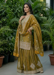 Fendi Chiffon Sharara Set with Dupatta 6