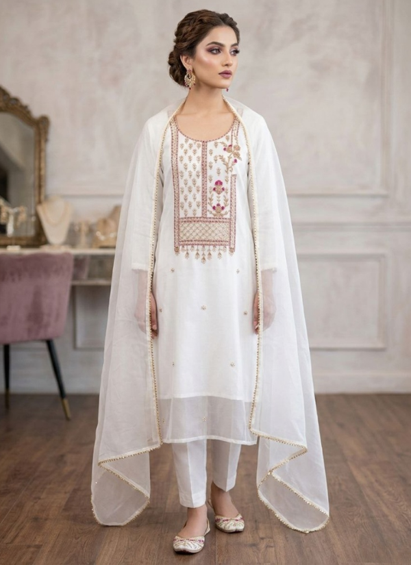 Organza Embroidered Salwar Suit