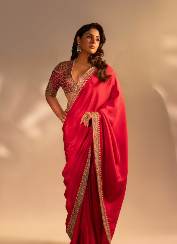 Saree – embroidery close-up