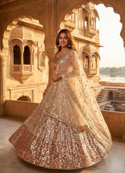 Designer Butterfly Net Lehenga – Dual Sequins Work with Blouse & Dupatta 5