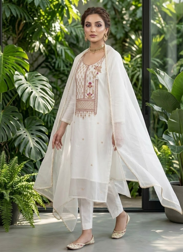 Organza Embroidered Salwar Suit