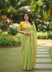 Parrot Green Chiffon Saree with Banarasi Border 4