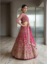 Butterfly Net Lehenga Choli with Sequin Embroidery 4