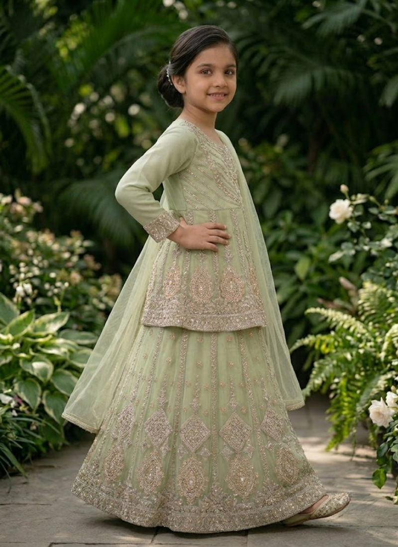 Baby Girl’s Net Lehenga – Embroidery Work