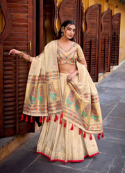 Shimmer Paithani Zari Lehenga Choli Set 5
