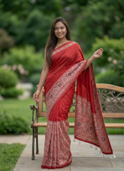 Ajrak Printed Silk Saree – Digital Print with Real Mirror Handwork & Satin Blouse 5