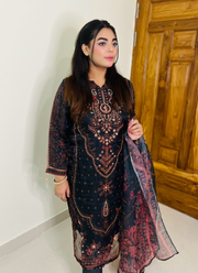 Black Organza Salwar Suit with Pearl Embroidery 5