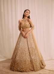 Designer Butterfly Net Lehenga – Dual Sequins Work with Blouse & Dupatta 6