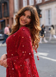 Ruffle Georgette Saree 6