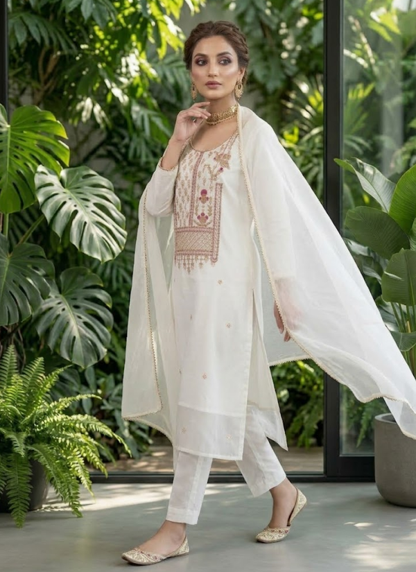 Organza Embroidered Salwar Suit