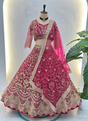 Butterfly Net Lehenga Choli with Sequin Embroidery 6