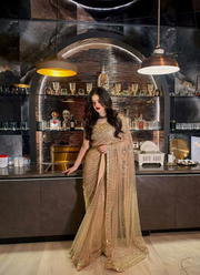 Butterfly Soft Net Saree with Real Mirror & Embroidered Blouse Fabric 3