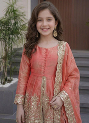Kids Fandy Silk Dress Set 2