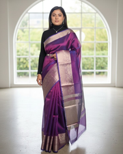 Banarasi Tissue Saree 5