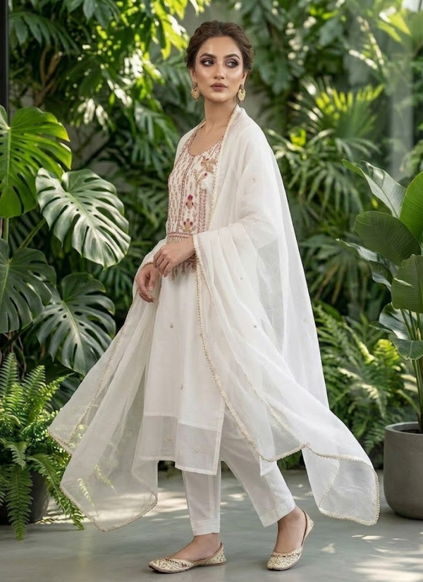 Organza Embroidered Salwar Suit