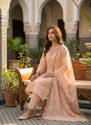 Light Peach Roman Silk Punjabi Suit with Embroidery & Sequence Dupatta 6