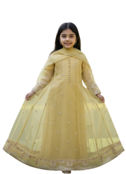 Beige Organza Kids Anarkali Dress – Elegant Ethnic Wear 1