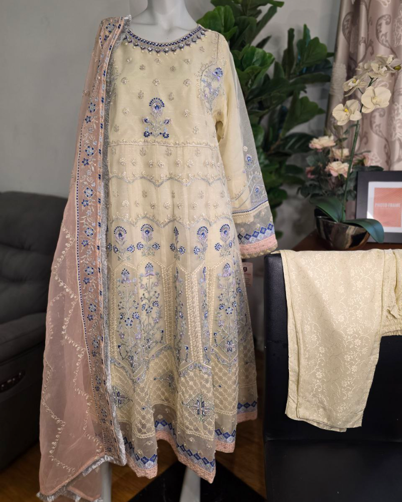 Beige Organza Pakistani Anarkali Dress – Pearl & Stone Embroidery
