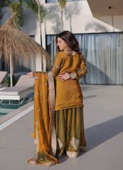 Fendi Chiffon Sharara Set with Dupatta 4