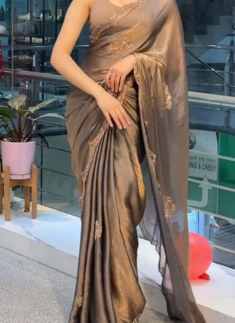 Grey Two-Tone Chiffon Tissue Saree – Crystal Work Panel with Running Blouse