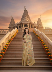 Banarasi Organza Tissue Saree - festive Banarasi saree 7