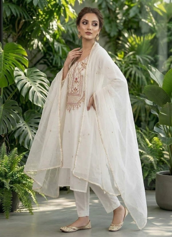 Organza Embroidered Salwar Suit