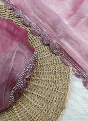Organza Silk Saree with Handwork Lace Border & Matching Blouse Fabric 8