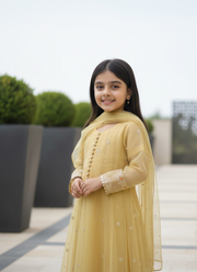 Beige Organza Kids Anarkali Dress – Elegant Ethnic Wear 4