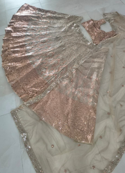 Designer Butterfly Net Lehenga – Dual Sequins Work with Blouse & Dupatta 4